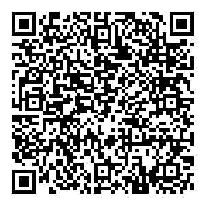 岚图泰山车友群